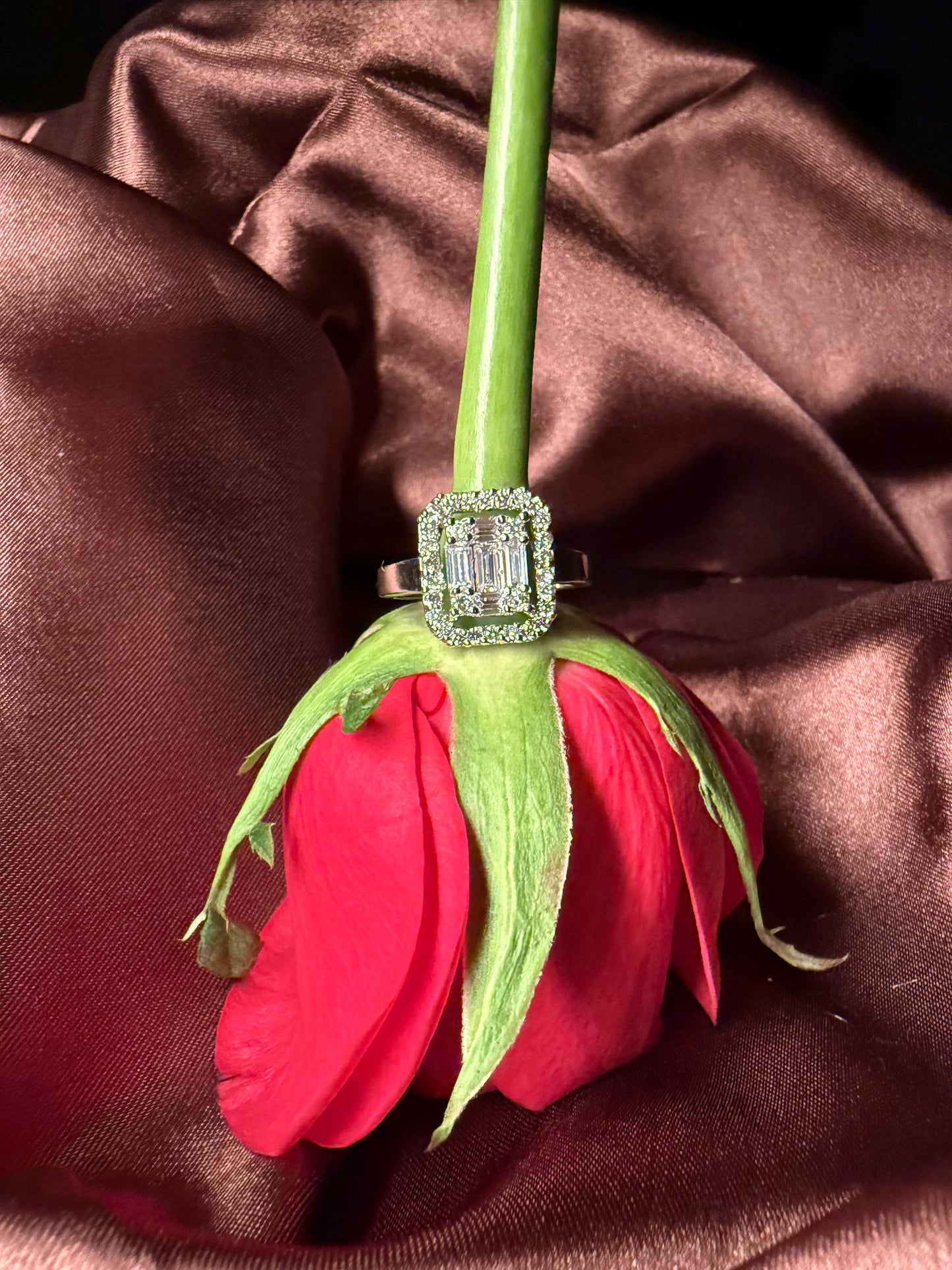 Amoura Ring | 925 Silver