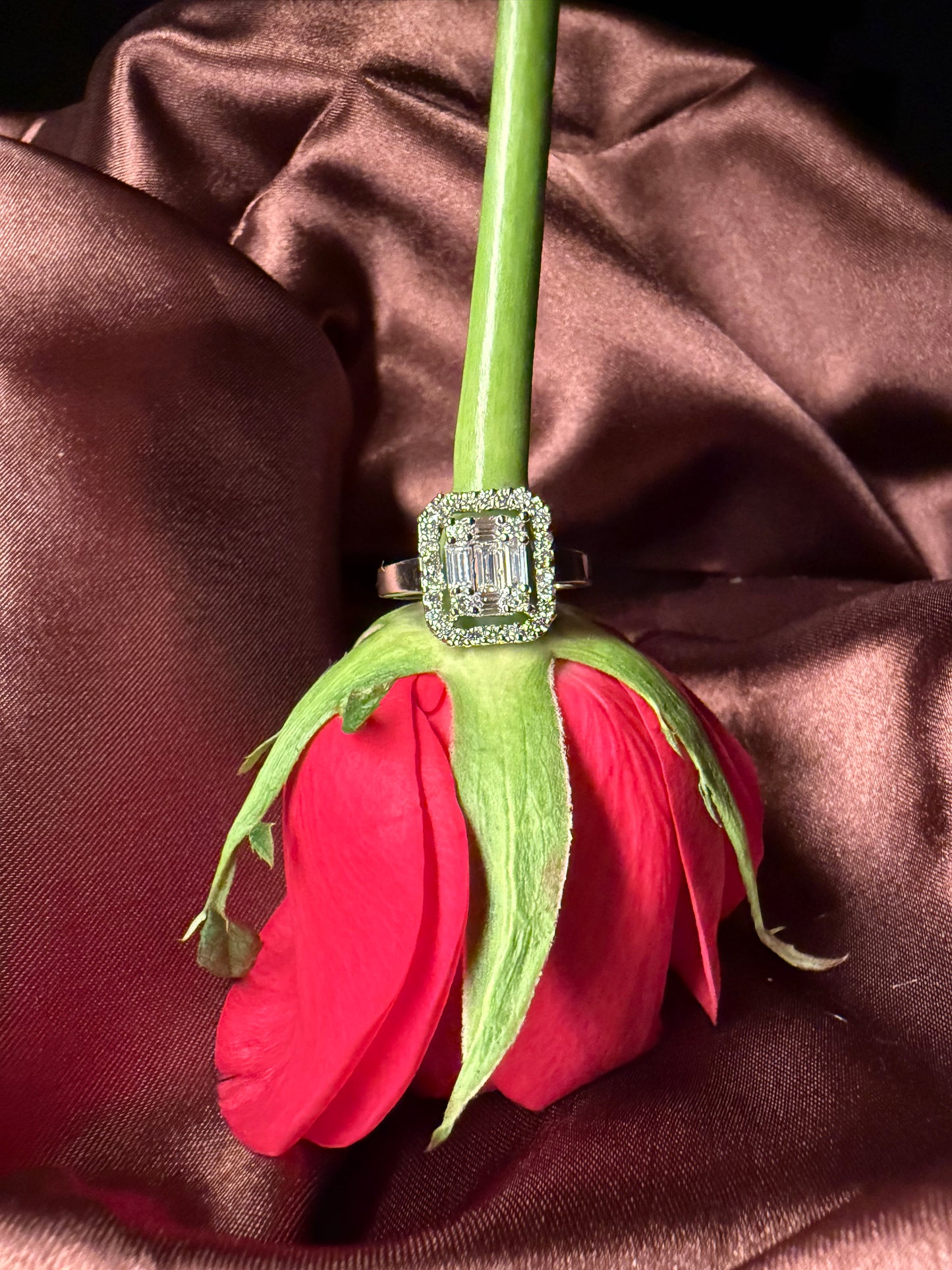 Amoura Ring | 925 Silver